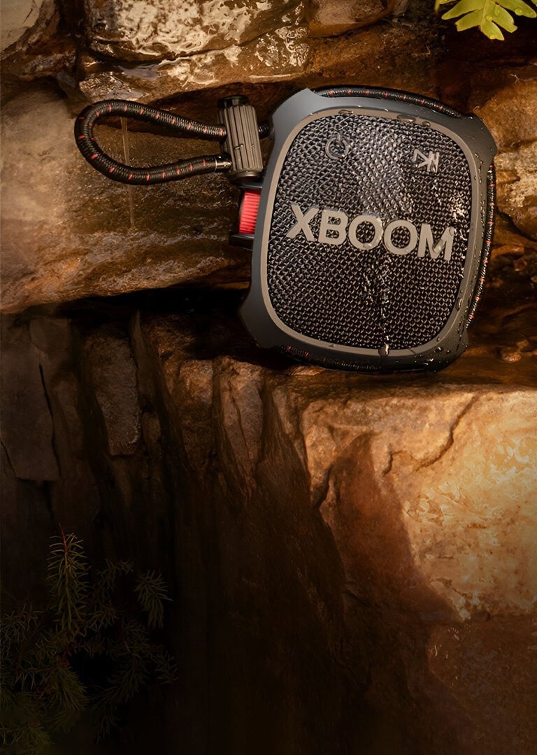 Boxe Bluetooth | Boxe portabile wireless | LG România